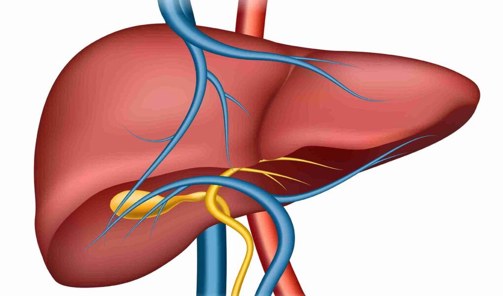 pyogenic liver abscess