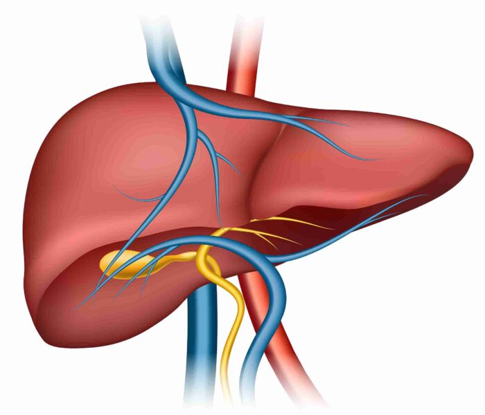 pyogenic liver abscess