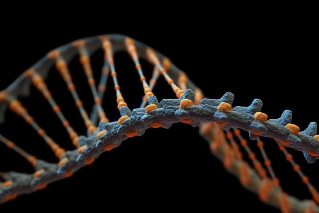 genetic factors in thalassemia