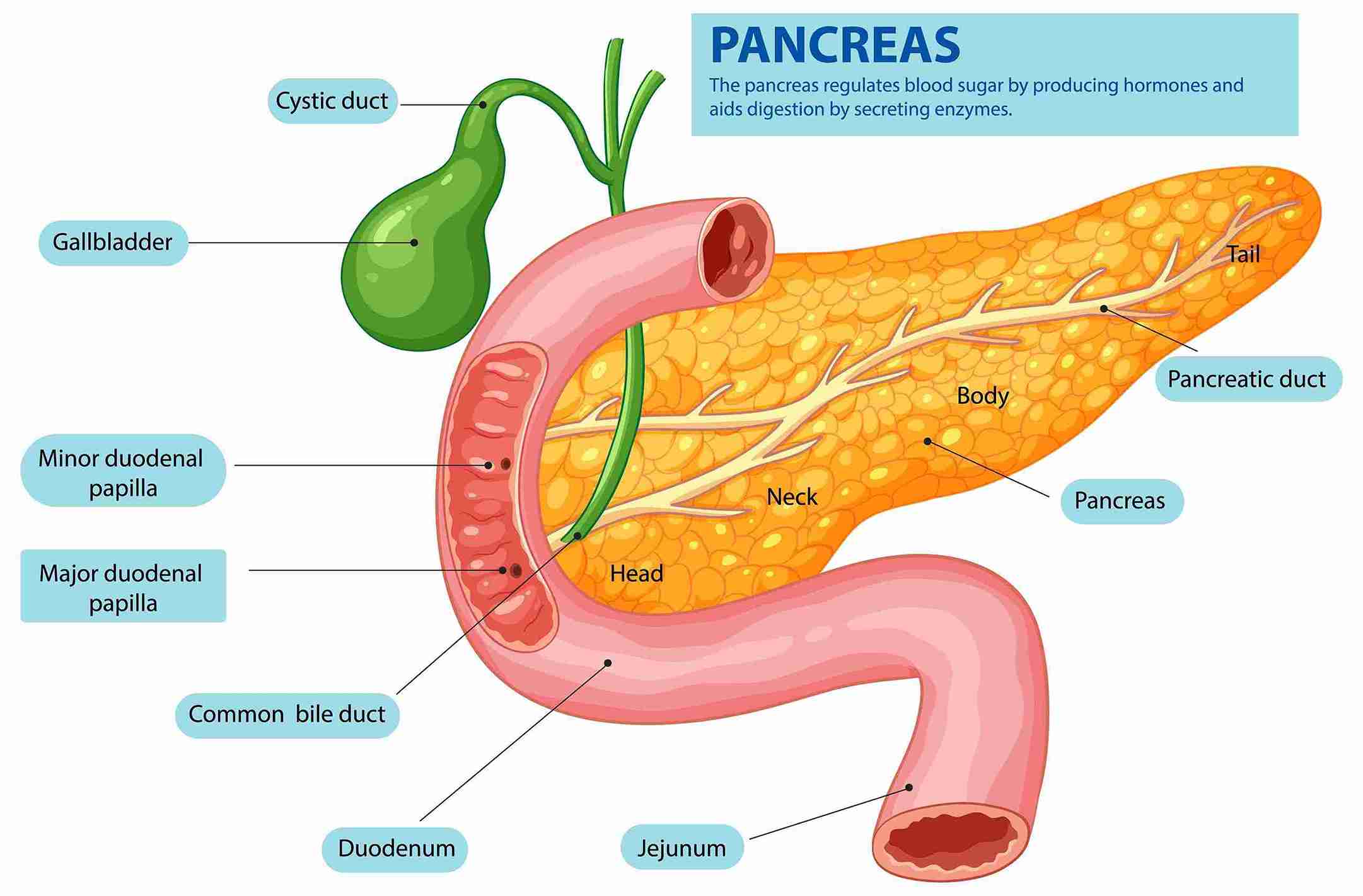 Pancreatitis