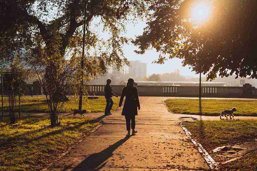 evening walk